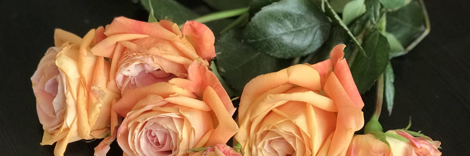 🦋SaBrina🦋 banner