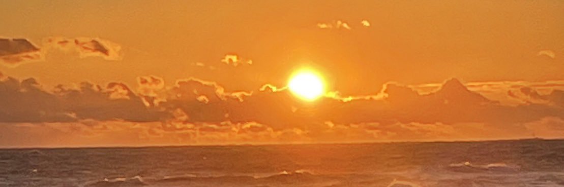 mshotam's profile banner image