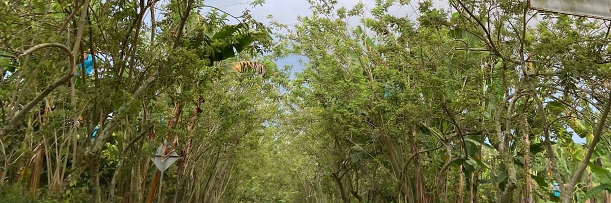 98Rubn's profile banner image