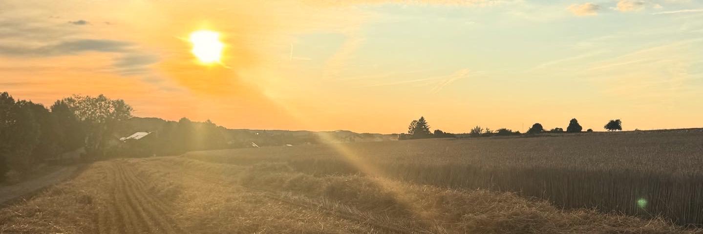JakeMurphy43's profile banner image
