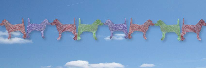 DogByDogDoc's profile banner image