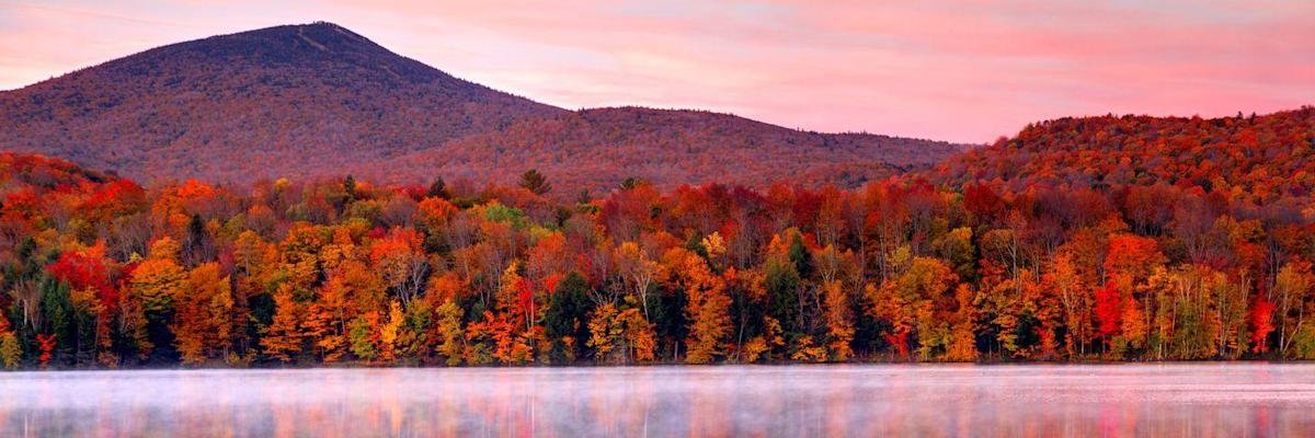 DirectionSilvia's profile banner image
