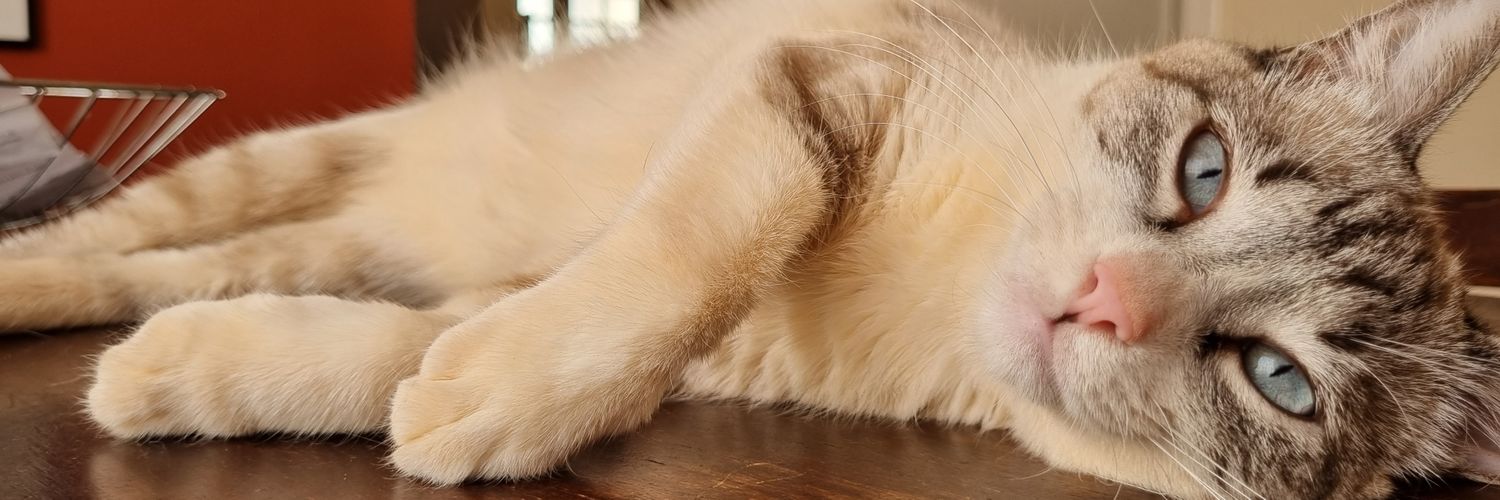 suse28's profile banner image