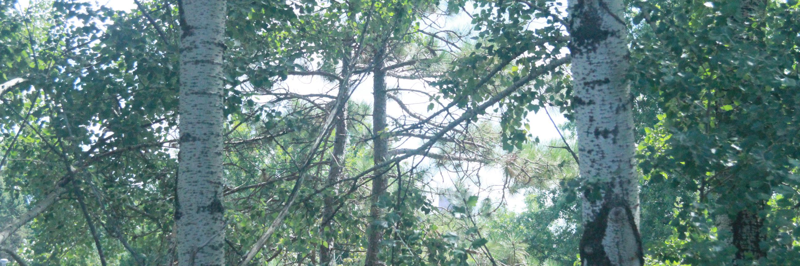 JohnHolowitz's profile banner image