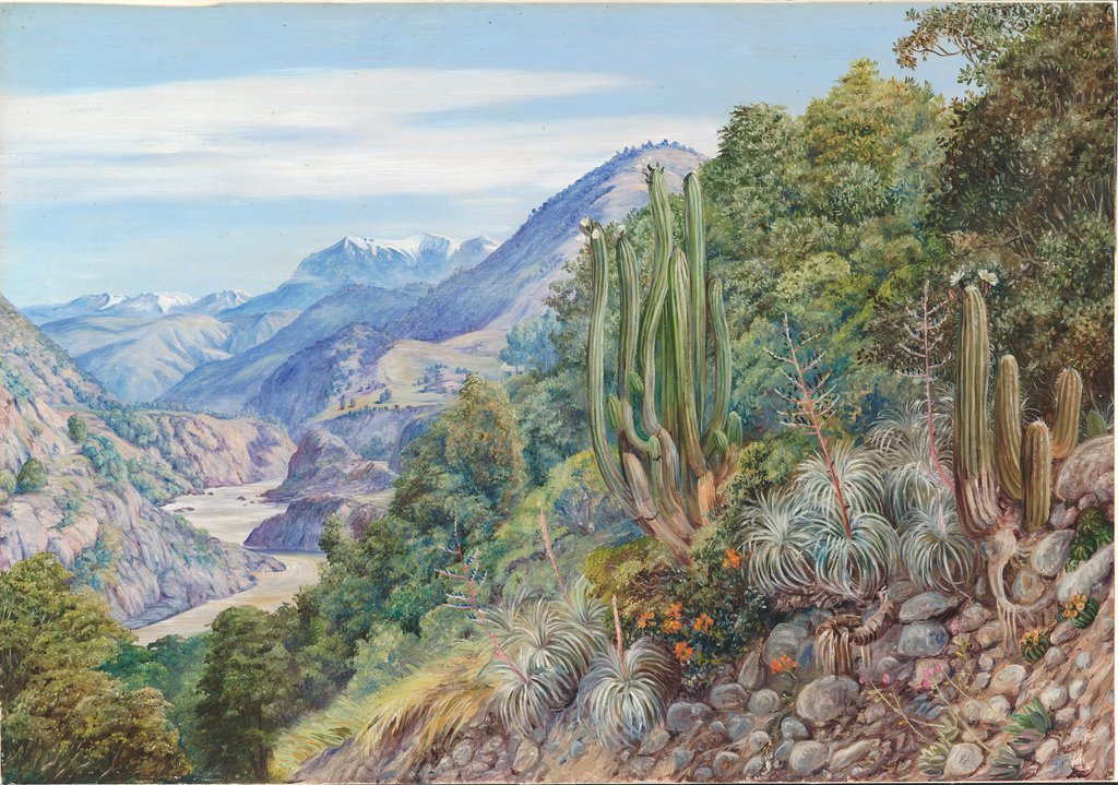 Cristian R. banner