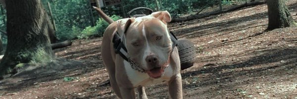 Wautv_ Profile Banner