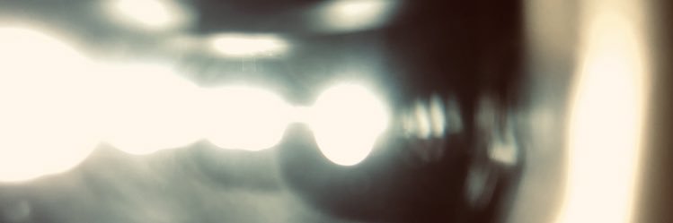 danschafran's profile banner image
