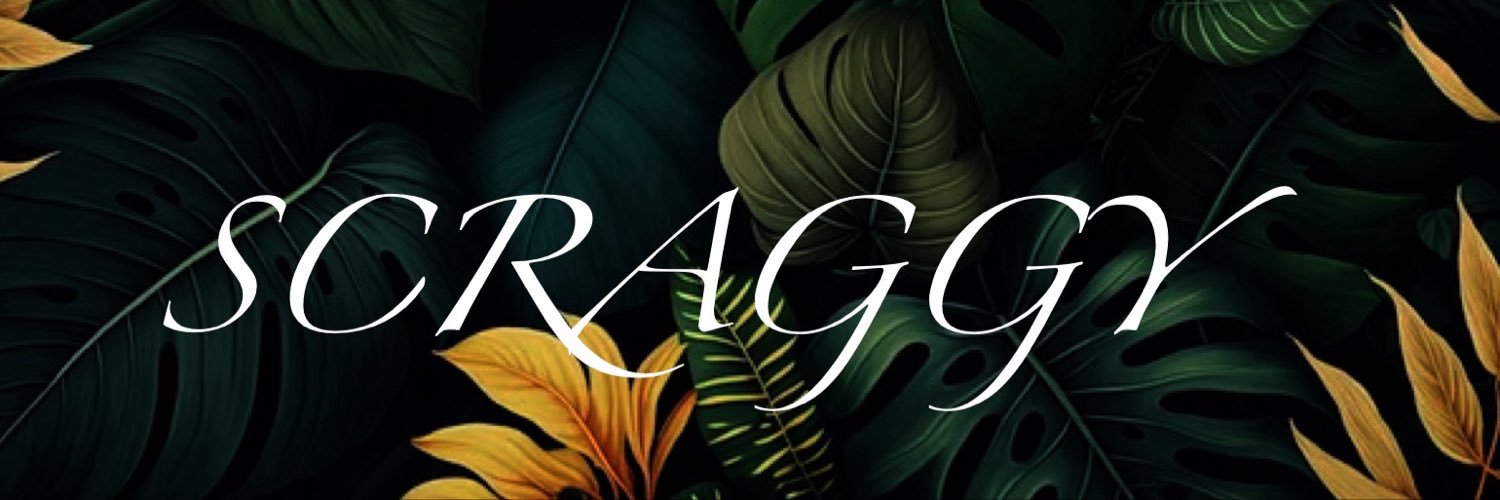 ScraggyMusic's profile banner image