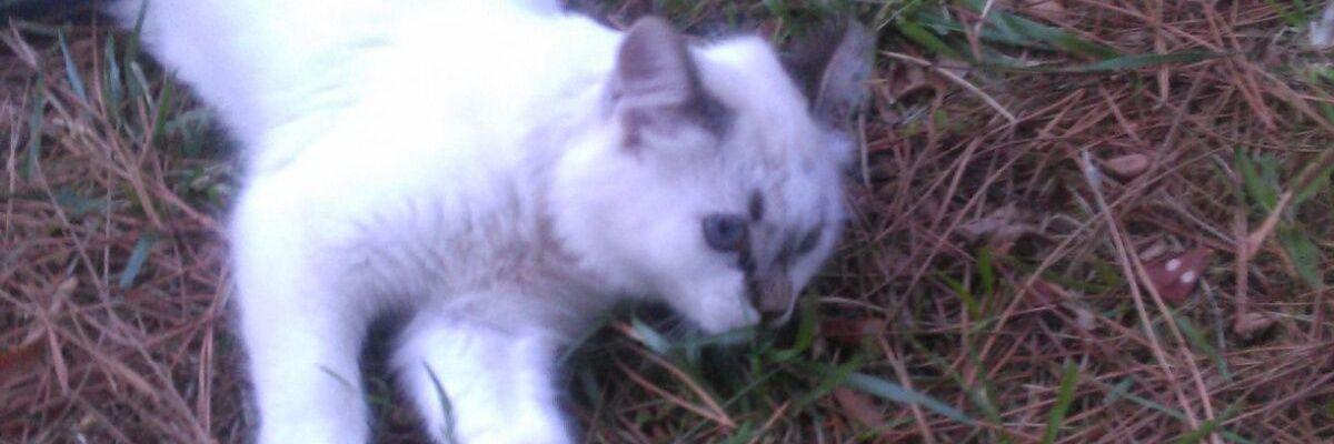 sandreta_14's profile banner image