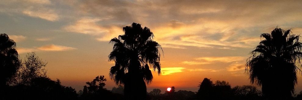Sofi_antonelli's profile banner image