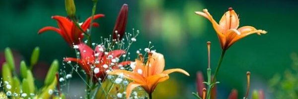 marire52's profile banner image