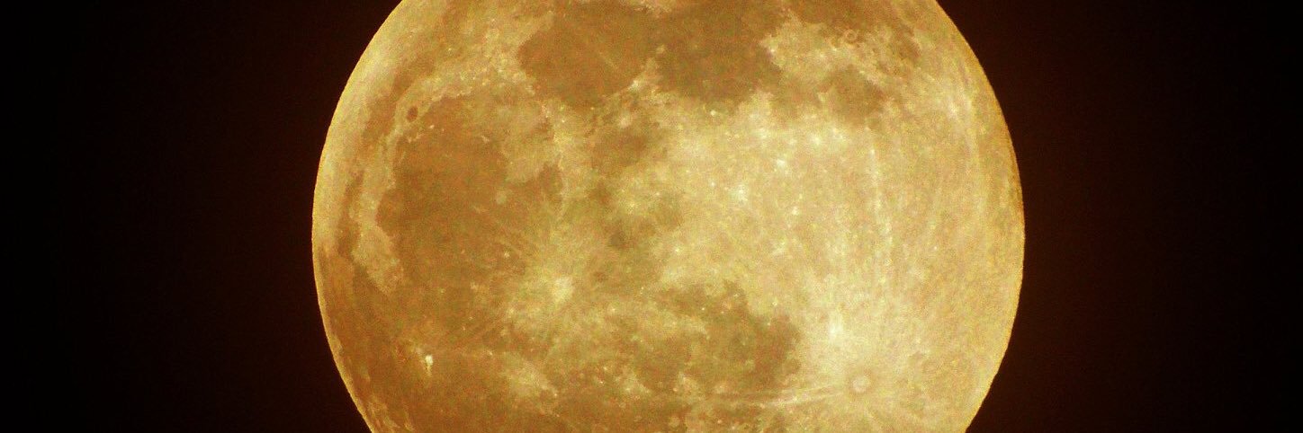 sirghea's profile banner image
