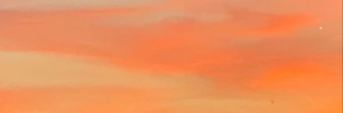 TaylorW3113's profile banner image