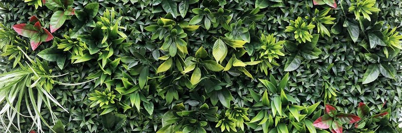 Curtiskirk91's profile banner image