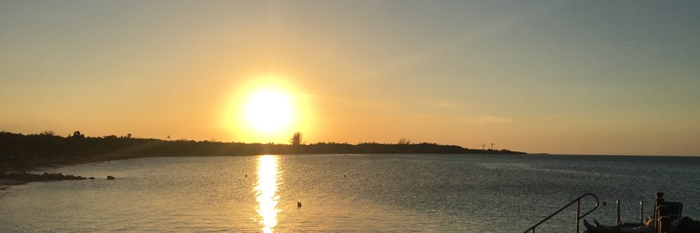 AndreaMatas1's profile banner image