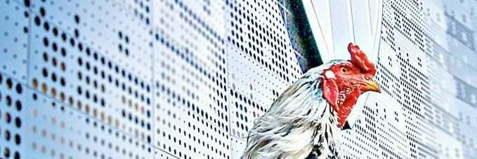 CaioCarmo's profile banner image