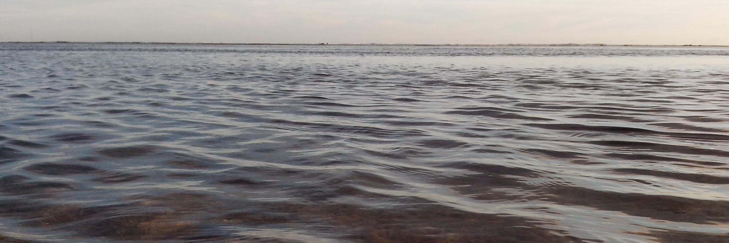 MuhaeminSidiq's profile banner image