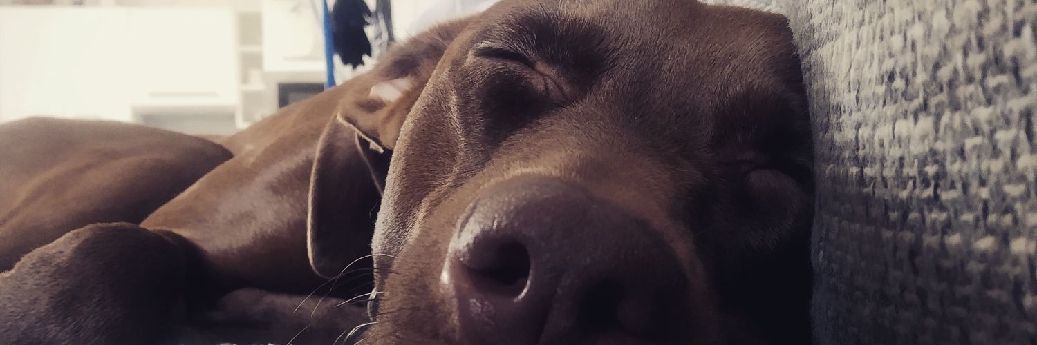 JaromirVoltr's profile banner image