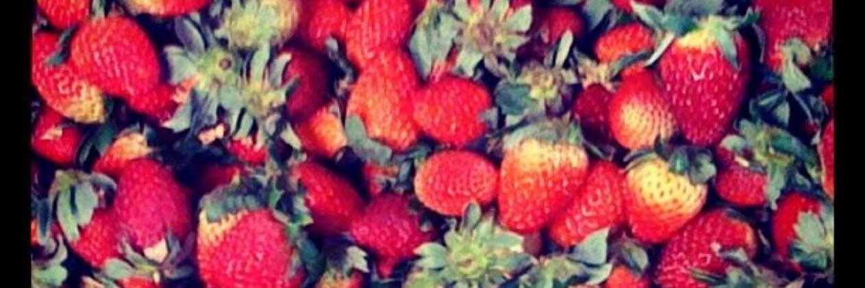 monirinconc's profile banner image