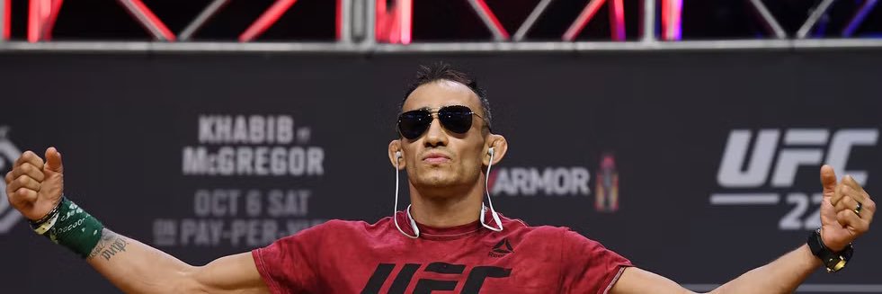 Dominic Mulholland banner