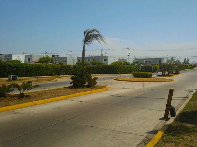 CaminandoLaguni's profile banner image