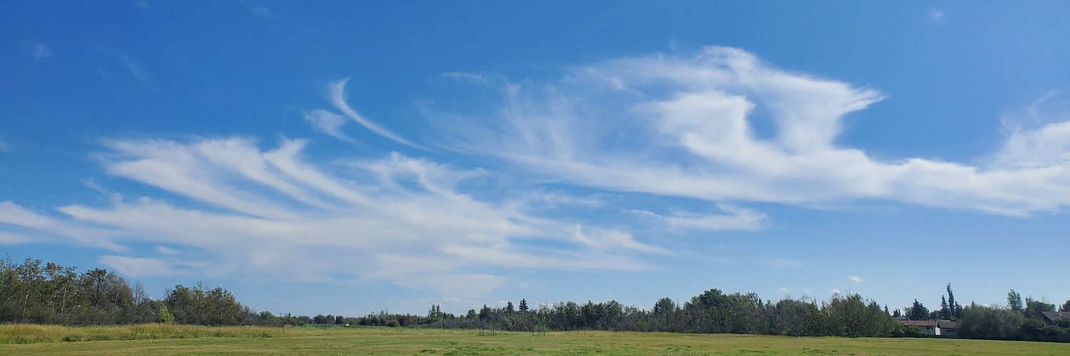 debbiescanticle's profile banner image