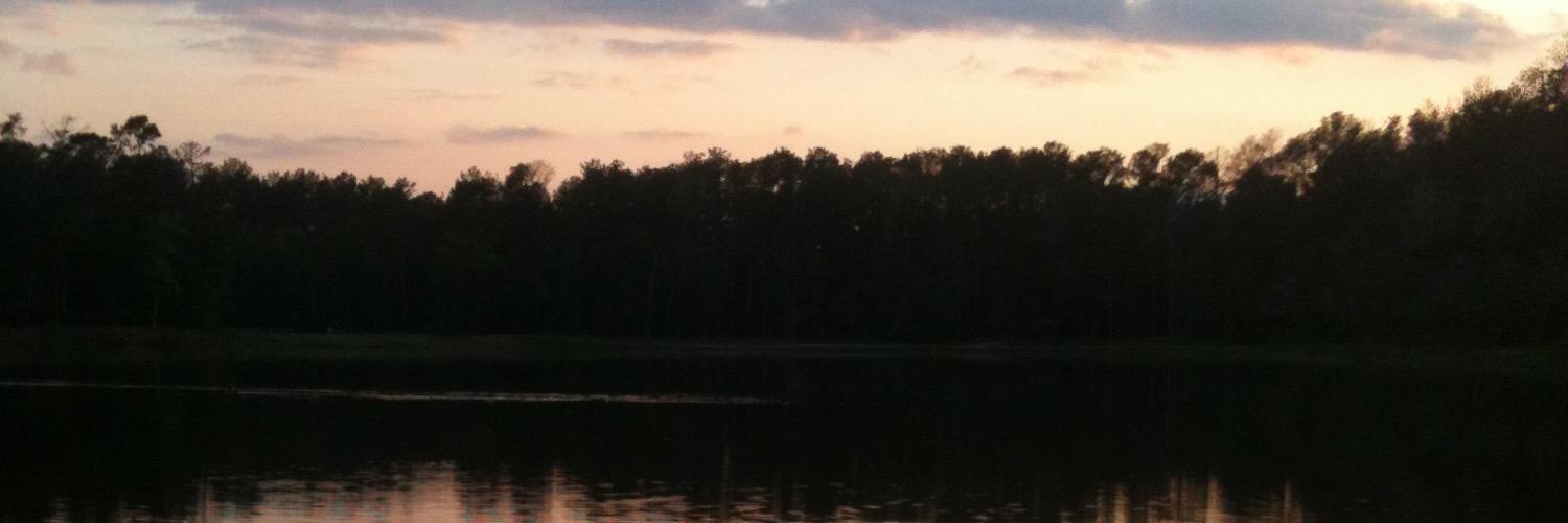 Four_4_Madore's profile banner image