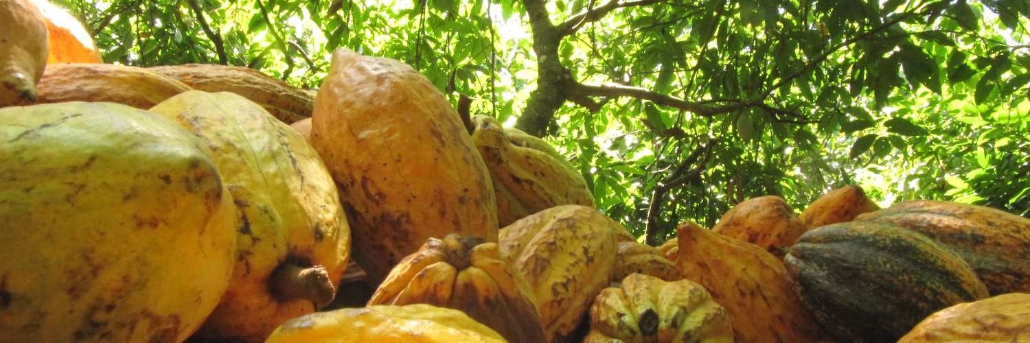mbonamico's profile banner image