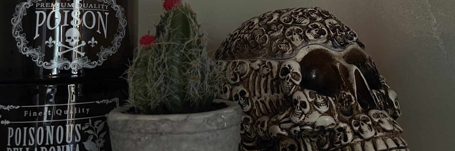 SheaSmith17's profile banner image