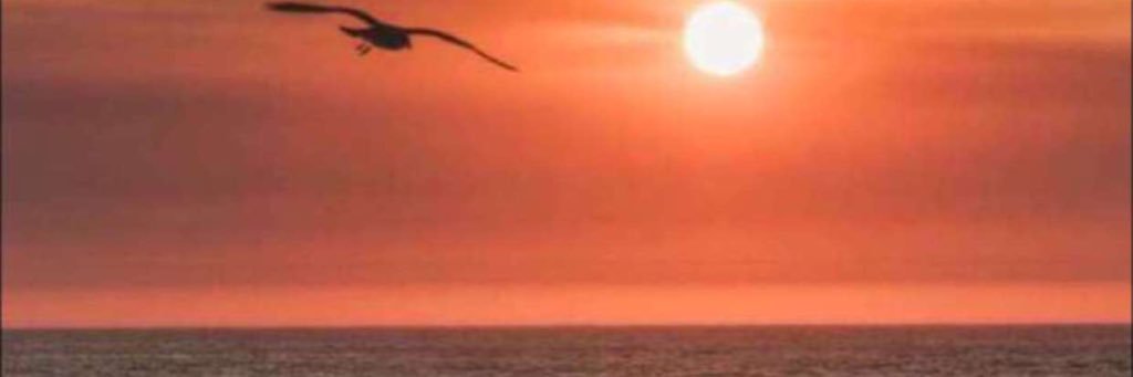 mmssaa07's profile banner image