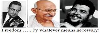 Freedom Fighter banner