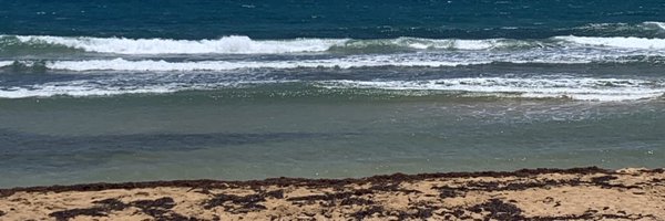 aleja_jade Profile Banner