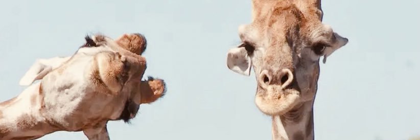 Clyvmv's profile banner image