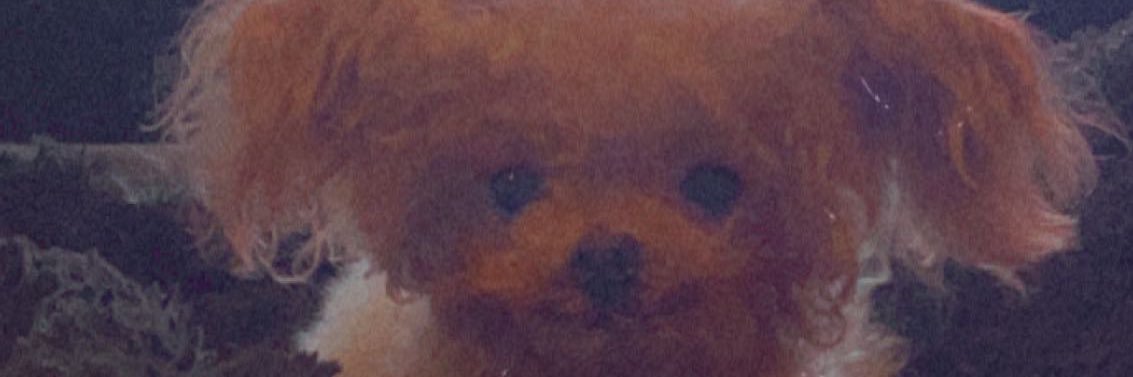 diana. banner