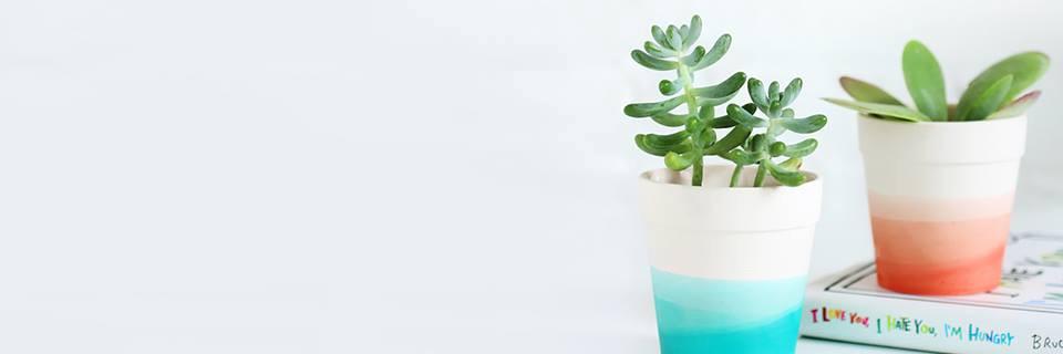 Jenni Radosevich banner