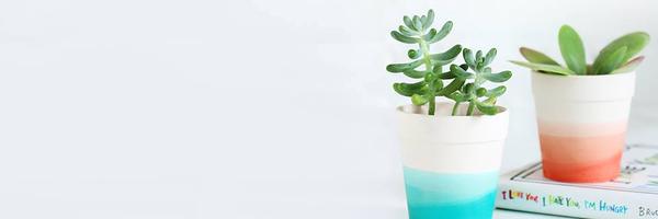 ISpyDIY Profile Banner