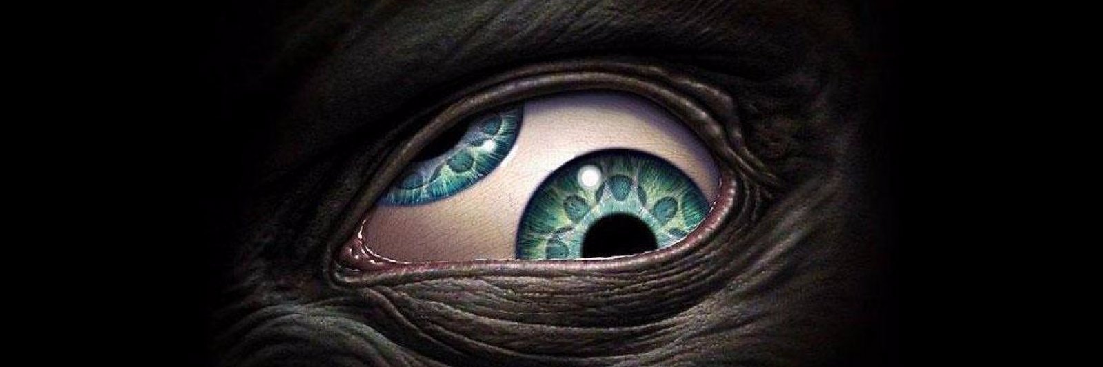 eaerendil_'s profile banner image