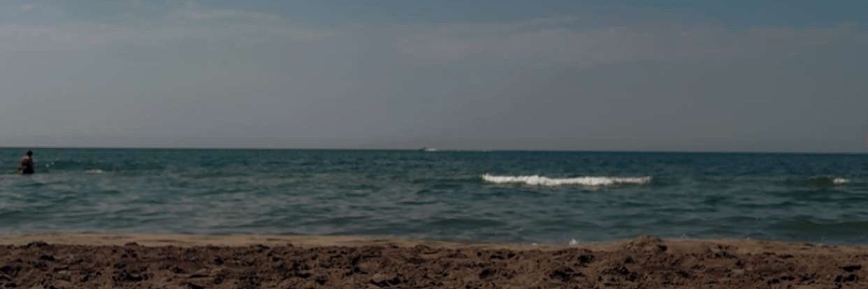 whitebxrd's profile banner image