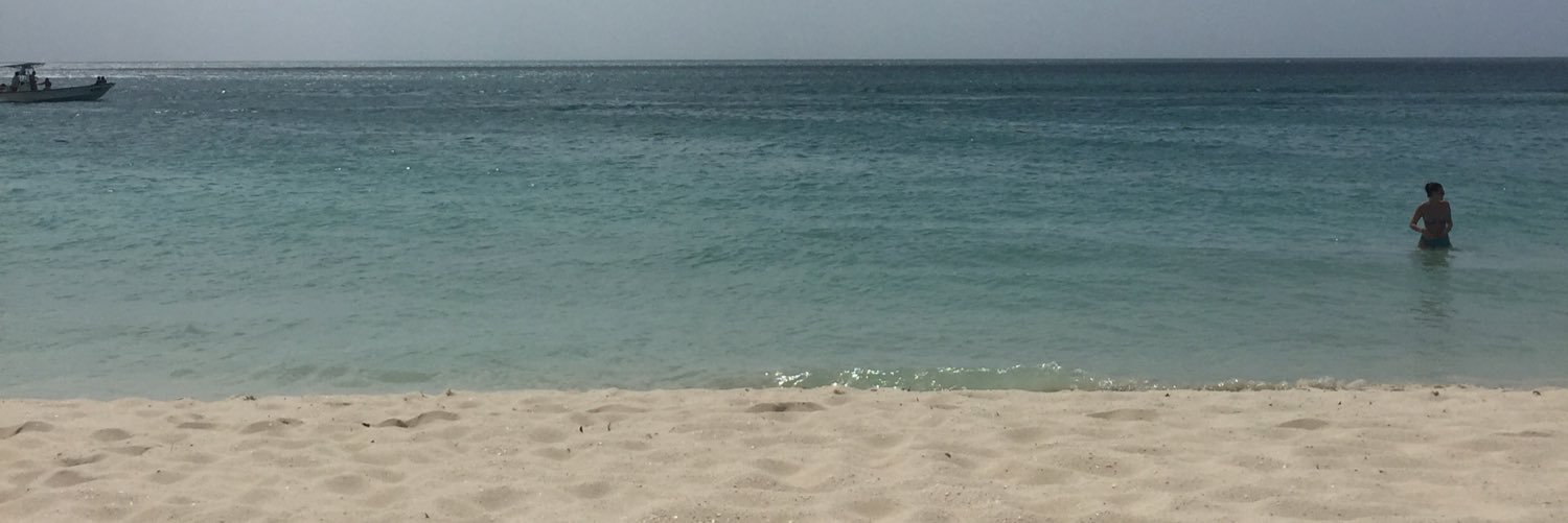 NykkiM's profile banner image