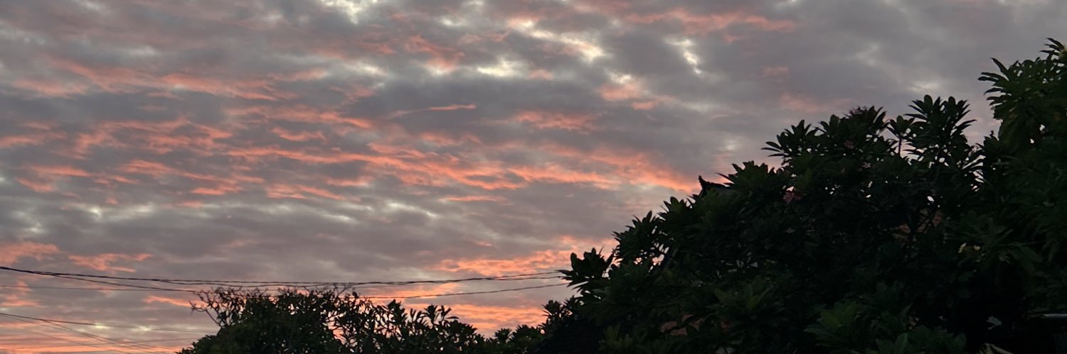buseaa_'s profile banner image
