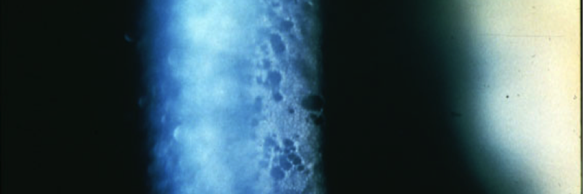 mike banner