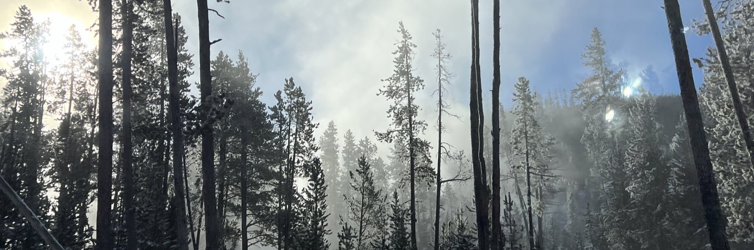 rnorrigan's profile banner image