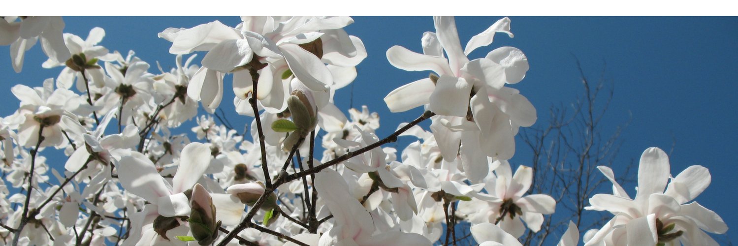 OlbrichGardens's profile banner image