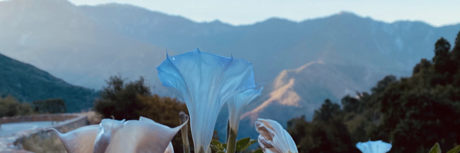 MarkGannott's profile banner image