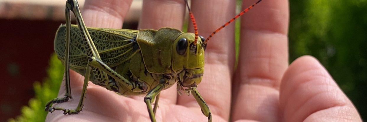 Jessrv12's profile banner image