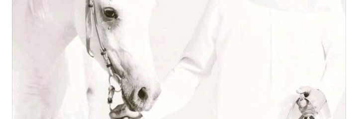salman_00_'s profile banner image