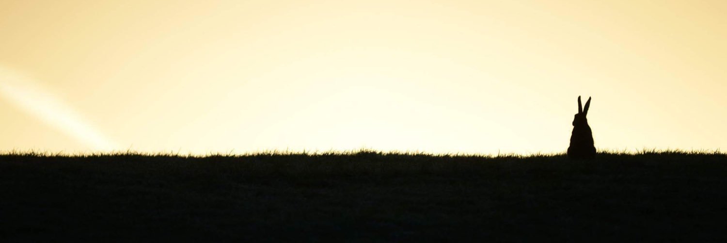 garethmillward's profile banner image