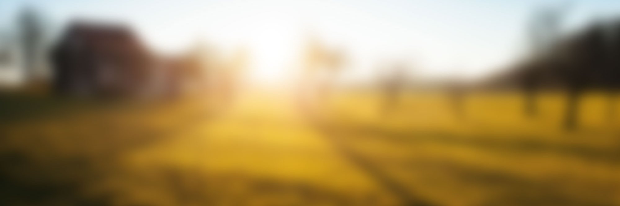 embarketing banner