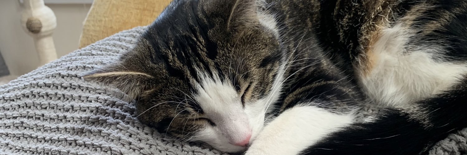 cassiedyar's profile banner image