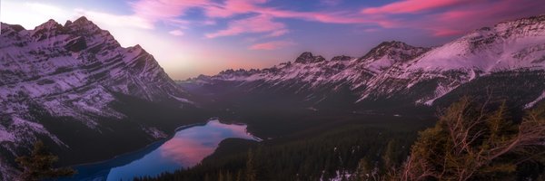 TLillico Profile Banner